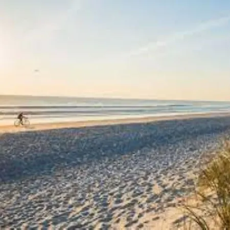 Apartment Modern Flat In Location Rosolina Mare