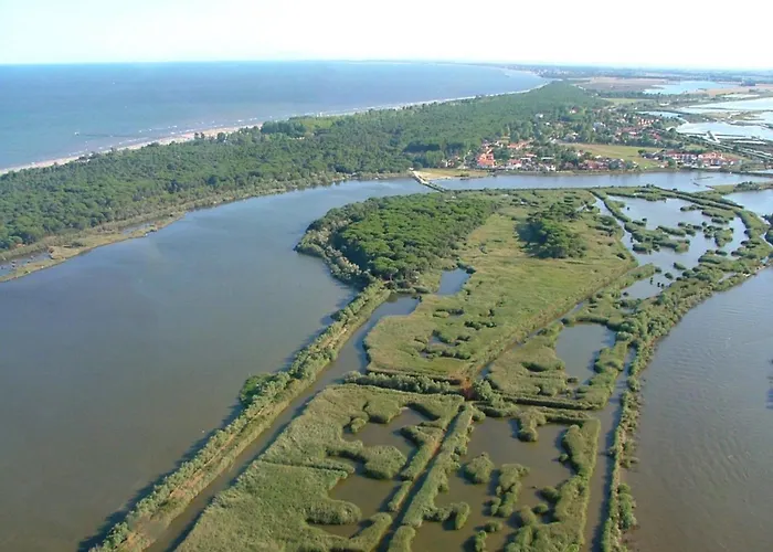 Apartment Modern Flat In Location