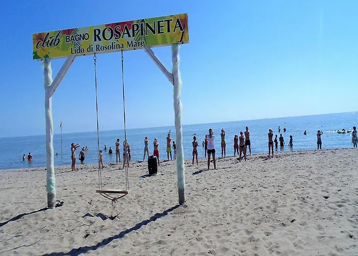 Apartment Modern Flat In Location *